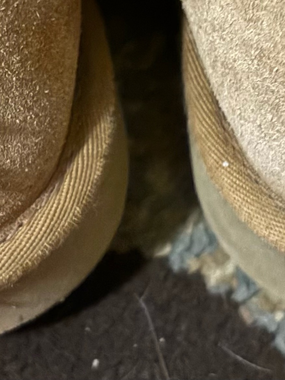 UGG Classic Short Boot in Chestnut Brown